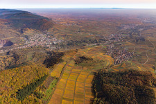 Autumnal discolored vegetation view into the rhine valley landscape from the exit of the Queich valley surrounded by mountains in Albersweiler in the state Rhineland-Palatinate, Germany