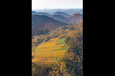 Aerial view of Autumnal discolored vegetation view of castle of the fortresses Trifels, Scharfeneck and Anebos at sunset in Annweiler am Trifels in the state Rhineland-Palatinate, Germany