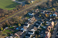 In the rose garden in Winden in the state Rhineland-Palatinate, Germany
