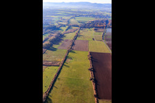 Billigheimer Bruch, Erlenbachtal between Barbelroth, Hergersweiler and Winden in the district Mühlhofen in Billigheim-Ingenheim in the state Rhineland-Palatinate, Germany