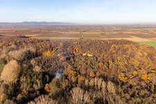 Billigheimer Bruch, Erlenbachtal between Barbelroth, Hergersweiler and Winden in the district Ingenheim in Billigheim-Ingenheim in the state Rhineland-Palatinate, Germany
