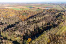 Billigheimer Bruch, Horbachtal between Barbelroth, Hergersweiler and Winden in Barbelroth in the state Rhineland-Palatinate, Germany seen from above