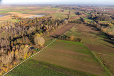 Billigheimer Bruch, Steinfelsbachtal between Barbelroth, Hergersweiler and Winden in Barbelroth in the state Rhineland-Palatinate, Germany