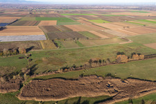 Billigheimer Bruch, flood ditch between Barbelroth, Hergersweiler and Winden in the district Mühlhofen in Billigheim-Ingenheim in the state Rhineland-Palatinate, Germany