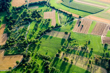 Meadows and bushes in the district Dietenhausen in Keltern in the state Baden-Wuerttemberg, Germany