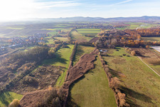 Billigheimer Bruch, Erlenbachtal between Barbelroth, Hergersweiler and Winden in the district Mühlhofen in Billigheim-Ingenheim in the state Rhineland-Palatinate, Germany from above