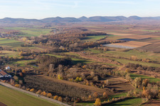Billigheimer Bruch, Erlenbachtal between Barbelroth, Hergersweiler and Winden in Hergersweiler in the state Rhineland-Palatinate, Germany seen from above
