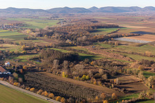 Billigheimer Bruch, Erlenbachtal between Barbelroth, Hergersweiler and Winden in Hergersweiler in the state Rhineland-Palatinate, Germany from the plane