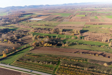 Billigheimer Bruch, Erlenbachtal between Barbelroth, Hergersweiler and Winden in Hergersweiler in the state Rhineland-Palatinate, Germany viewn from the air