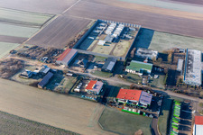 Niederlauterbach in the state Bas-Rhin, France from a drone