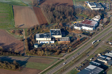 Shimmer & Black Interpolymer in the district Altenstadt in Wissembourg in the state Bas-Rhin, France