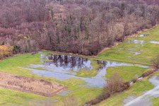 Flooded farmer's ditch, flood ditch in Steinweiler in the state Rhineland-Palatinate, Germany