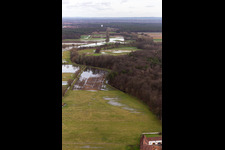 Riparian areas and flooded flood meadows of Polder Neupotz due to a river bed leading to flood levels of the Rhine river in Neupotz in the state Rhineland-Palatinate, Germany