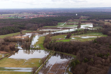 Aerial view of Riparian areas and flooded flood meadows of Polder Neupotz due to a river bed leading to flood levels of the Rhine river in Neupotz in the state Rhineland-Palatinate, Germany