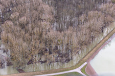 Aerial view of Flooded Old Rhine Hörnel in Wörth am Rhein in the state Rhineland-Palatinate, Germany