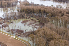 Flooded Rhine meadows in Neupotz in the state Rhineland-Palatinate, Germany