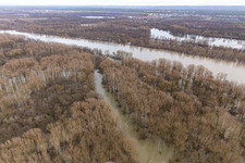 Aerial view of Flooded Rhine meadows at the gorge in Neupotz in the state Rhineland-Palatinate, Germany