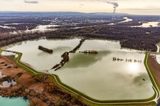 Aerial view of Flooded Old Rhine / Polder Neupotz in Neupotz in the state Rhineland-Palatinate, Germany