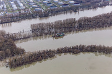 Dredger in the state port of Wörth during flooding in the district Maximiliansau in Wörth am Rhein in the state Rhineland-Palatinate, Germany