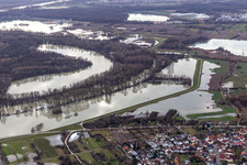 Hagenbacher Altrhein in front of the island of Nauas during flood in the district Maximiliansau in Wörth am Rhein in the state Rhineland-Palatinate, Germany