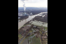 Floodplains and meadows landscape on the old Rhine of Hagenbachin front of the island of Nauas with gold ground when the Rhine floods in Maximiliansau in the state Rhineland-Palatinate, Germany