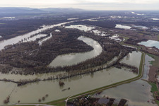 Hagenbacher Altrhein in front of the island of Nauas with gold background during Rhine flood in the district Maximiliansau in Wörth am Rhein in the state Rhineland-Palatinate, Germany