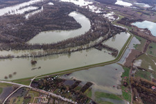 Aerial view of Floodplains and meadows landscape on the old Rhine of Hagenbachin front of the island of Nauas with gold ground when the Rhine floods in Maximiliansau in the state Rhineland-Palatinate, Germany