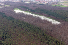 Otterbach with flooded meadows in the Bienwald in Kandel in the state Rhineland-Palatinate, Germany