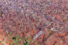 Otterbach with flooded meadows in the Bienwald in Wörth am Rhein in the state Rhineland-Palatinate, Germany