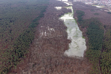 Aerial view of Otterbach with flooded meadows in the Bienwald in Kandel in the state Rhineland-Palatinate, Germany