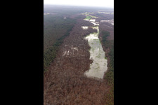 Forest area Bienwald Otterbach with flooded meadows on the A65 in Kandel in the state Rhineland-Palatinate, Germany