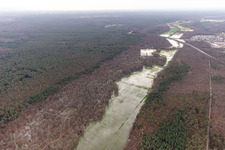 Aerial photograpy of Otterbach with flooded meadows in the Bienwald in Wörth am Rhein in the state Rhineland-Palatinate, Germany
