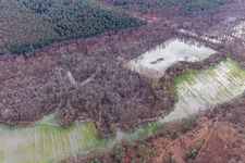 Otterbach and Bruchgraben with flooded meadows in the Bienwald in Wörth am Rhein in the state Rhineland-Palatinate, Germany