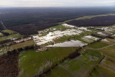 Land under water with flooded meadows between Mühlbach, Dierbach and Otterbach in Minfeld in the state Rhineland-Palatinate, Germany