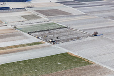Snow-covered fields and orchards in winter in Billigheim-Ingenheim in the state Rhineland-Palatinate, Germany