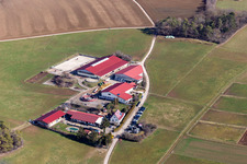 Reiner Siegle Horse Boarding in Weil der Stadt in the state Baden-Wuerttemberg, Germany
