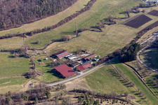 Friedrich Bauer, farmer in the Würm Valley in the district Lehenweiler in Aidlingen in the state Baden-Wuerttemberg, Germany