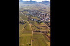 District Arzheim in Landau in der Pfalz in the state Rhineland-Palatinate, Germany from above