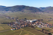 Böchingen in the state Rhineland-Palatinate, Germany from above