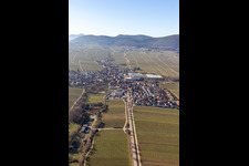 Böchingen in the state Rhineland-Palatinate, Germany seen from above