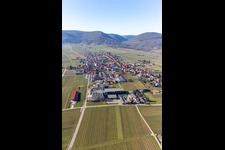 Aerial view of Rhodt unter Rietburg in the state Rhineland-Palatinate, Germany