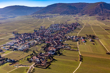 Oblique view of Rhodt unter Rietburg in the state Rhineland-Palatinate, Germany