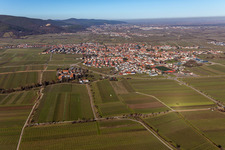 Aerial view of District Alsterweiler in Maikammer in the state Rhineland-Palatinate, Germany