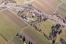 Tourist attraction and sightseeing Villa Rustica Wachenheim in Wachenheim an der Weinstrasse in the state Rhineland-Palatinate, Germany