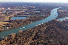 Floodplain forest at Rohrhofer See in the district Rheinau in Mannheim in the state Baden-Wuerttemberg, Germany