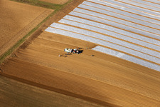 Cultivation of a field using a tractor with agricultural machine for sowing to the lettuce in Freckenfeld in the state Rhineland-Palatinate, Germany