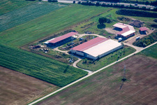 Aerial photograpy of Chicken farm egg farm in Erlenbach bei Kandel in the state Rhineland-Palatinate, Germany