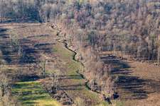 Klingbach in early spring in Steinweiler in the state Rhineland-Palatinate, Germany