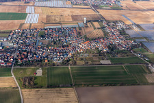 Aerial view of District Niederlustadt in Lustadt in the state Rhineland-Palatinate, Germany