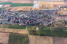 Aerial photograpy of District Niederlustadt in Lustadt in the state Rhineland-Palatinate, Germany
